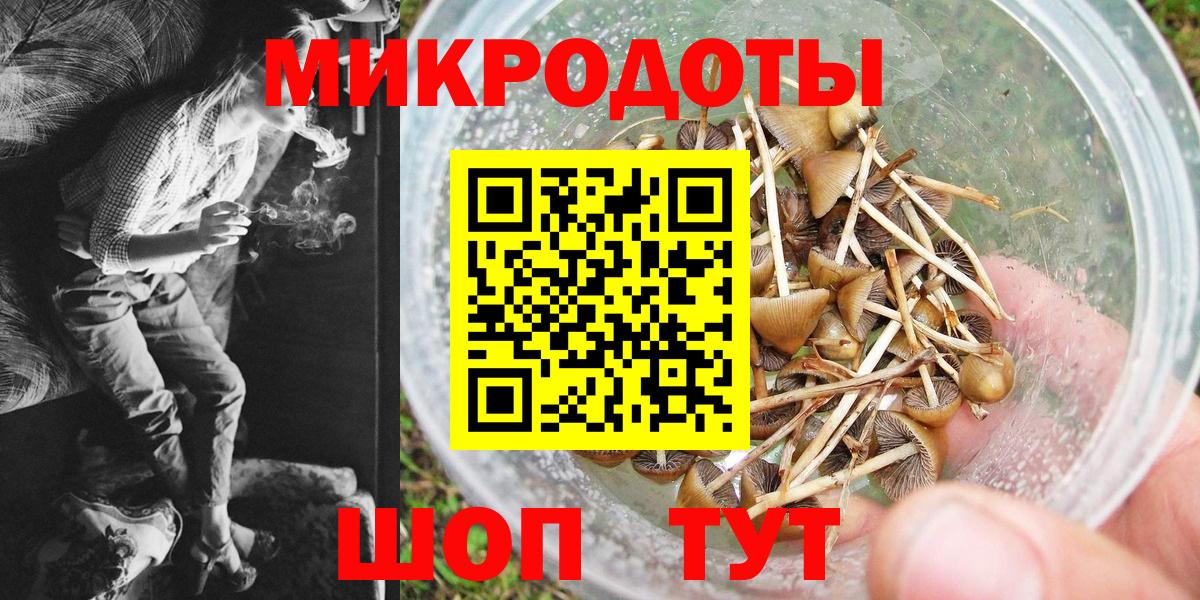 Псилоцибиновые грибы GOLDEN TEACHER  где купить   Саранск 