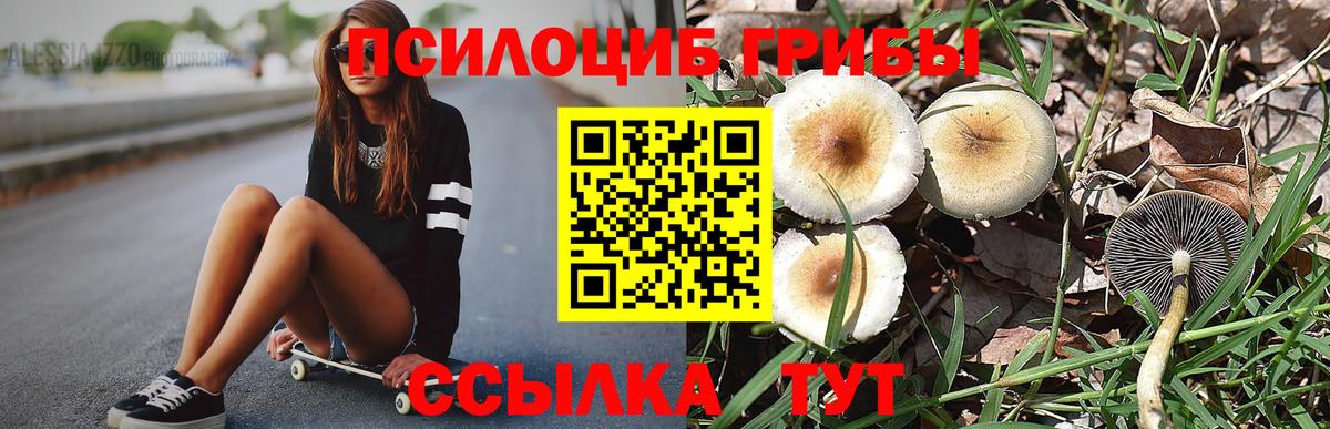 Бошки Шишки  MDMA  Вход с VPN  Меф   ГАШИШ  МЕТАМФЕТАМИН  Саранск  Гашиш 
